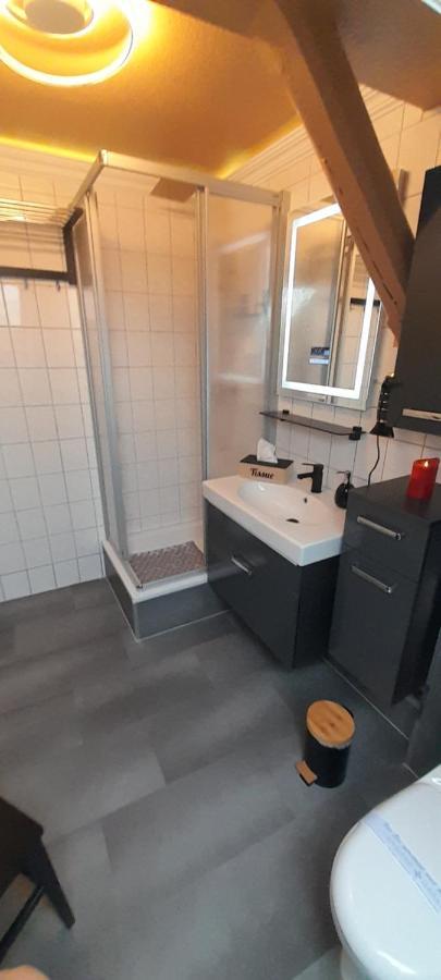 Best-Preis -Vip Lounge- Mit Netflix, Self-Check-In, Ebike Ladestation, Fahrradraum, Wlan Und Netflix - Direkt Am Elberadweg Im Herzen Von 비텐베르게 외부 사진
